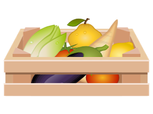 csa-box
